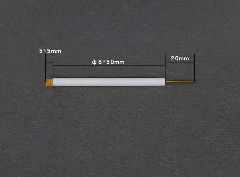Gold-plate-working-electrodes-with-PTFE-rod-5-x-5-mm-0.1-mm-1.jpg Gold Plate Working Electrode with PTFE Rod, 99.99% Purity