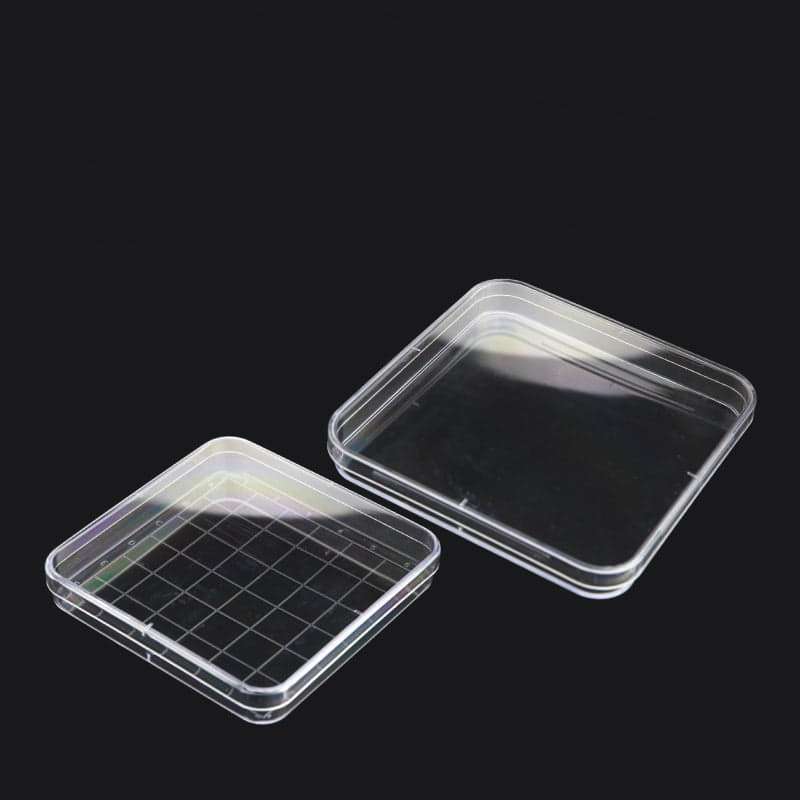 Petri-dish-square-plastic-PS-with-grid-10-units-pack-1-1.jpg Petri Dish Square, Polystyrene (Plastic PS), with Grid, 10 Units/Pack